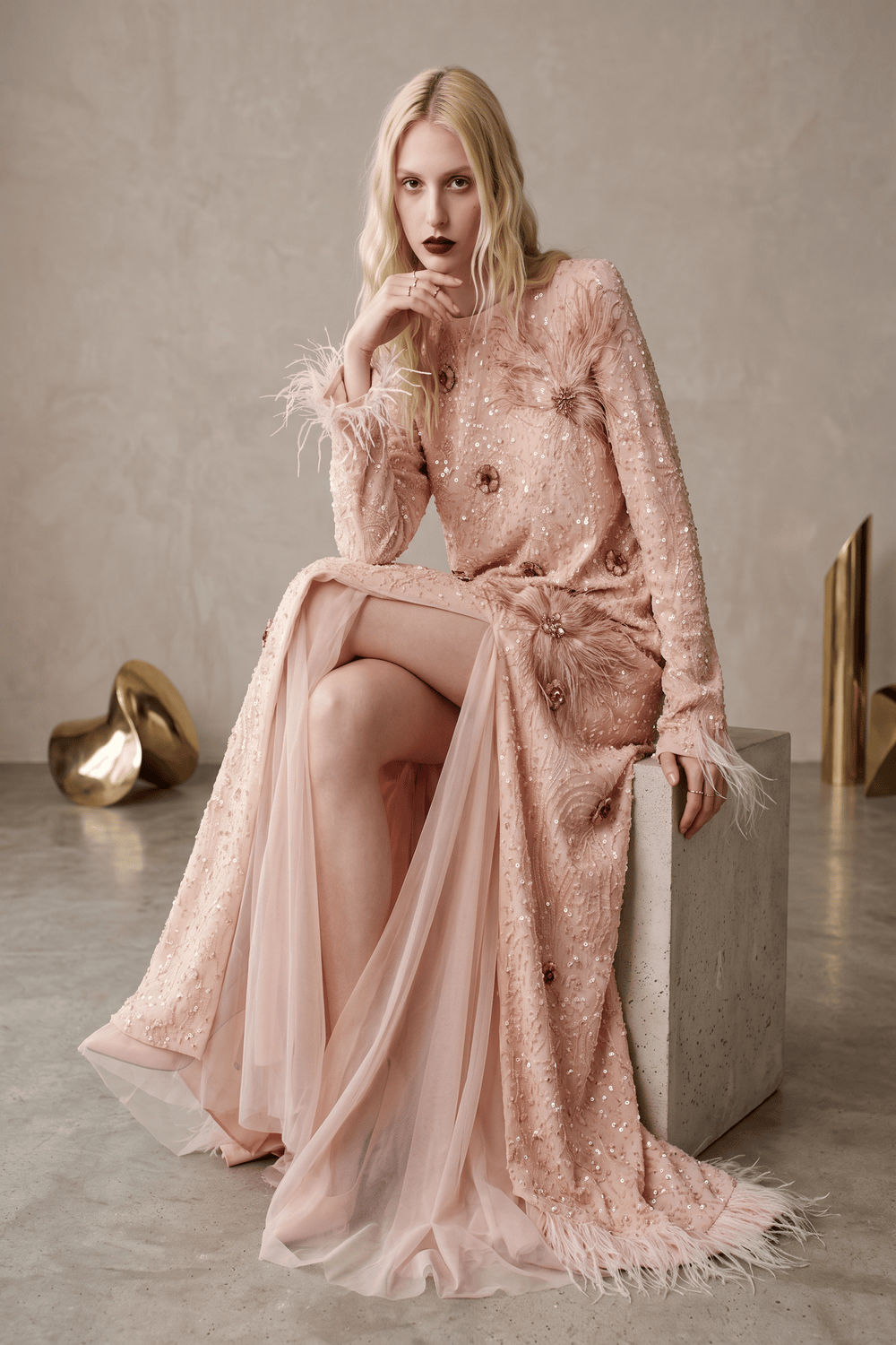 Long Sleeve Embroidered Gown